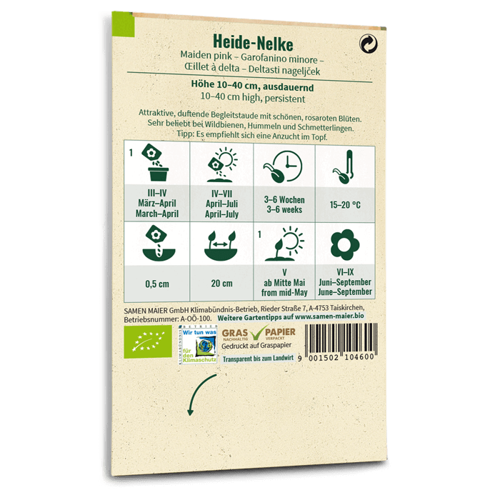 plantura-bio-heide-nelke-wildblume-bio-saatgut image 3