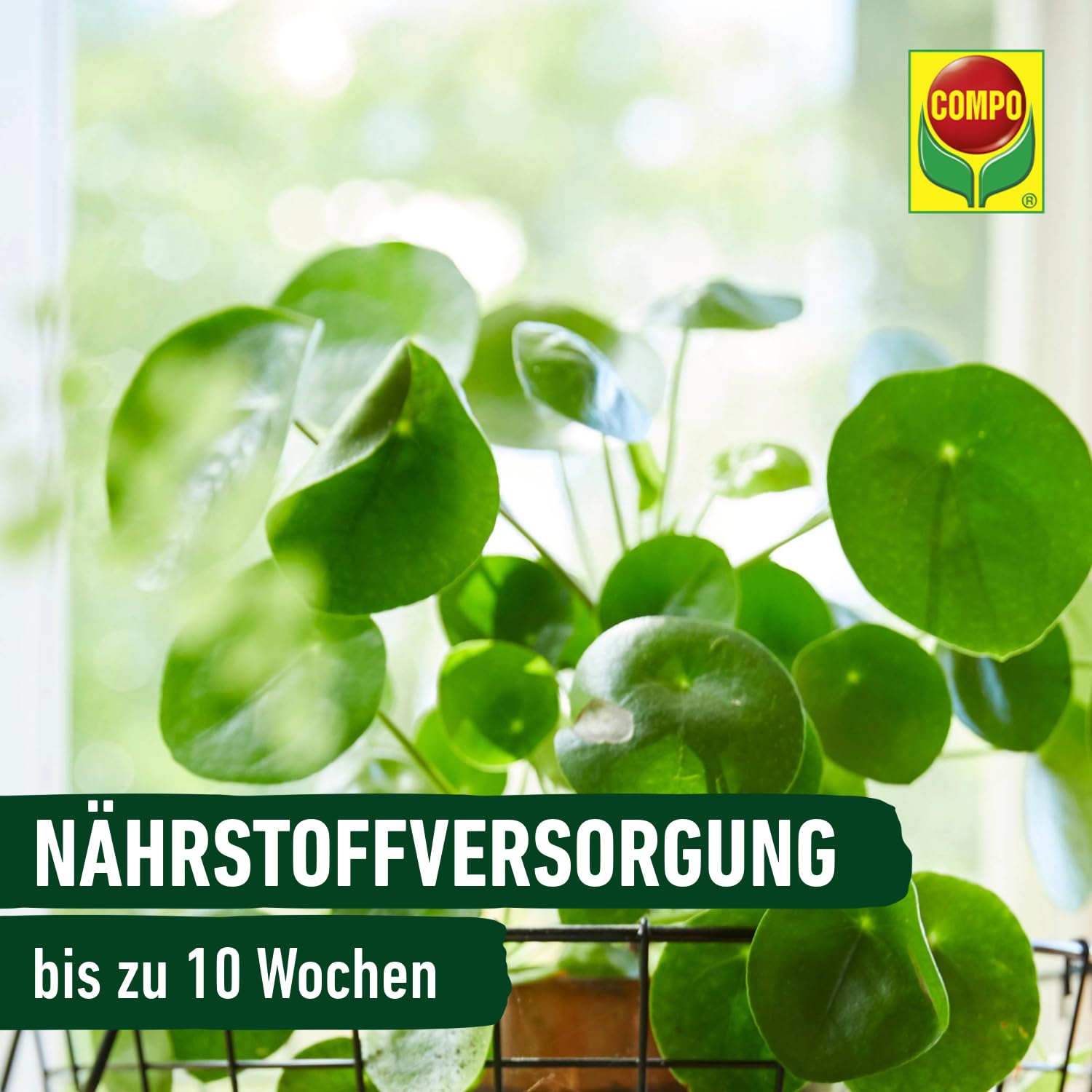 compo-sana-qualit-tsblumenerde-torffrei-40-l-50-leichter-10-wochen-n-hrstoffe image 7