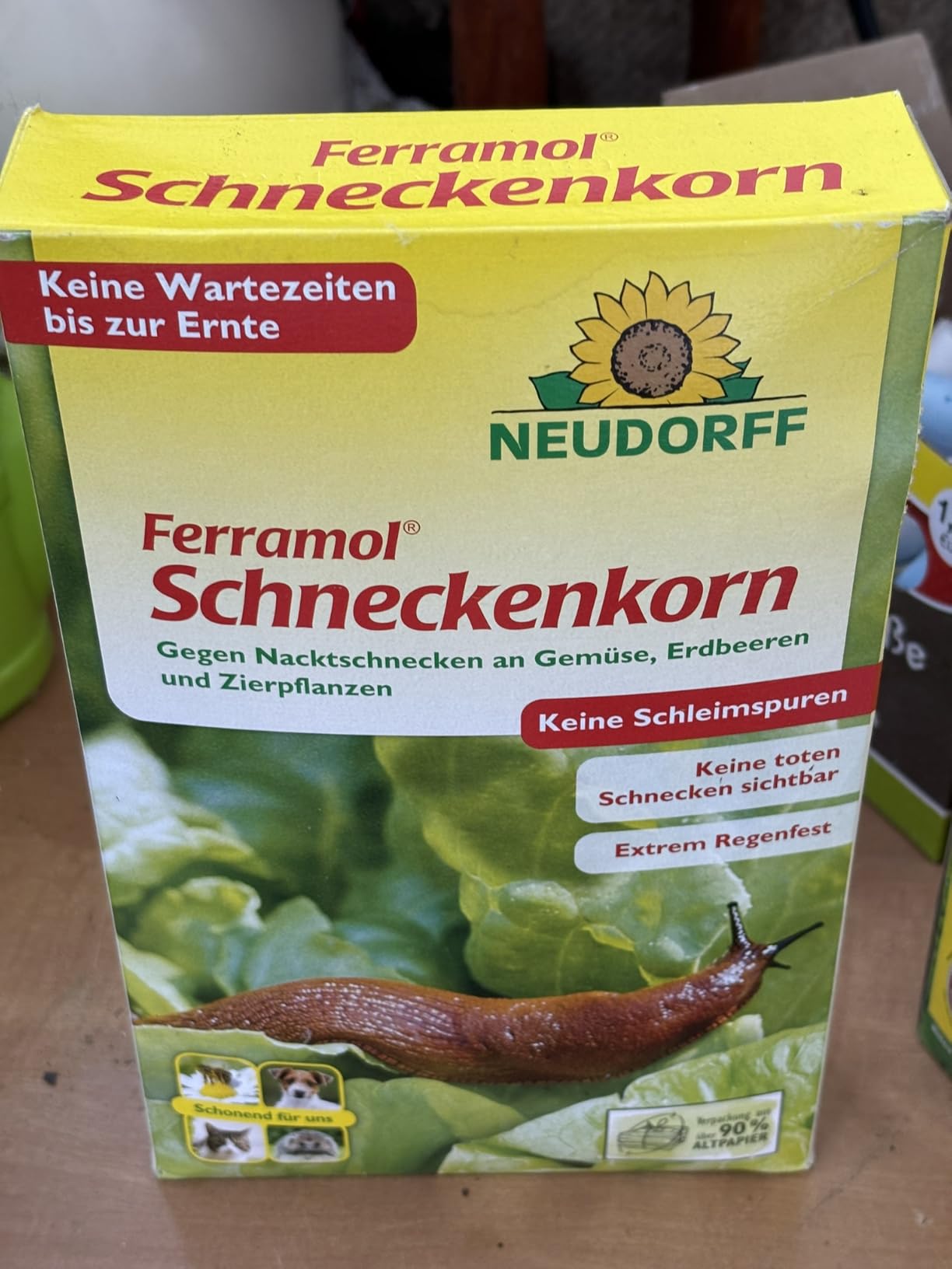 Endlich wieder Salat ernten!