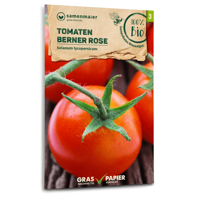 plantura-bio-tomate-berner-rose-bio-saatgut-fleischtomate image 1