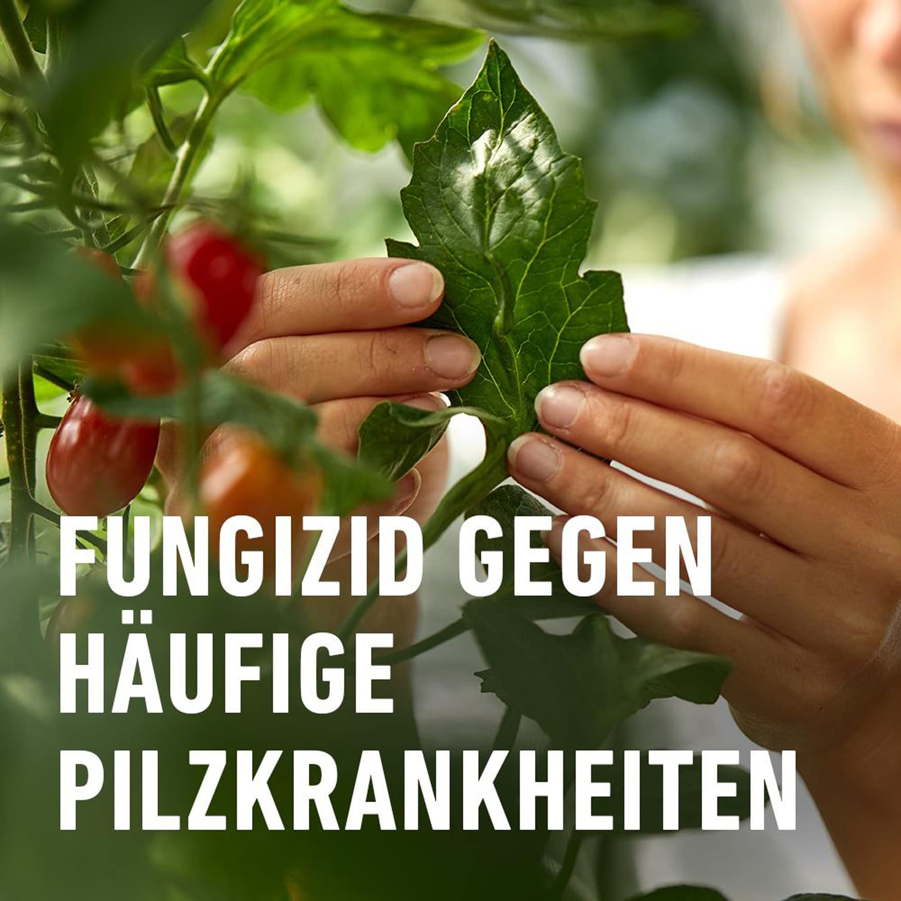 compo-ortiva-spezial-pilz-frei-20-ml-konzentrat-mit-messbecher image 3