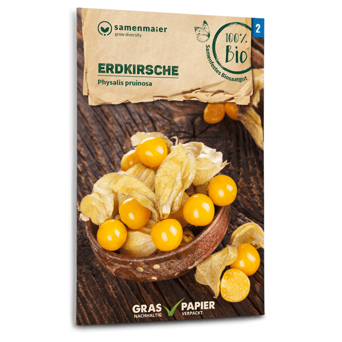 plantura-bio-ananaskirsche-bio-saatgut-andenbeere image 1