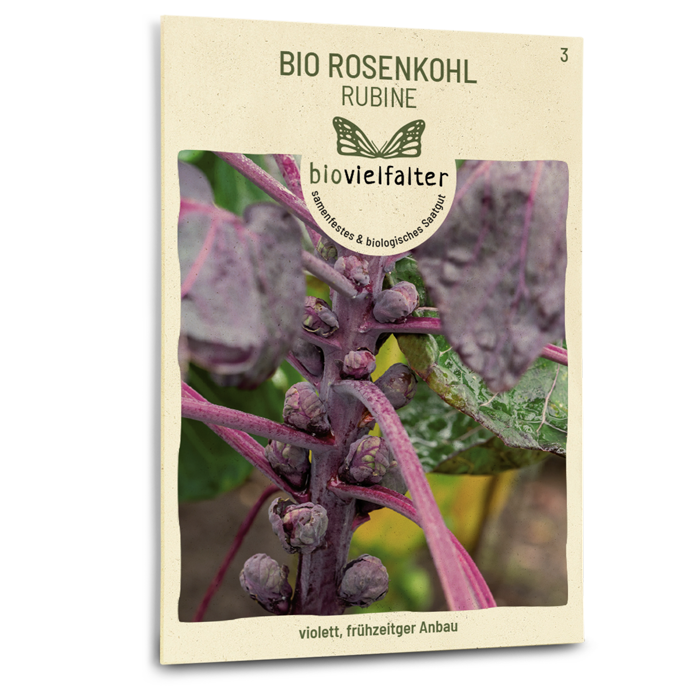 plantura-bio-rosenkohl-rubine-bio-saatgut image 1