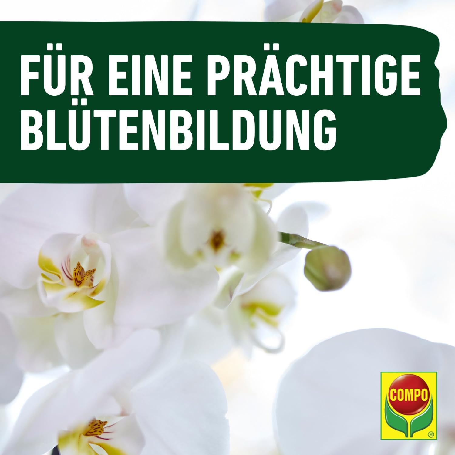 compo-bio-orchideend-nger-mit-guano-250-ml-organisch-mineralisch image 8