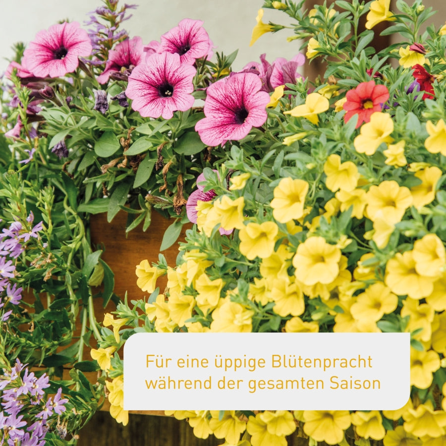 plantura-bio-blumen-balkond-nger-800-ml-fl-ssigd-nger-nk-5-3 image 2