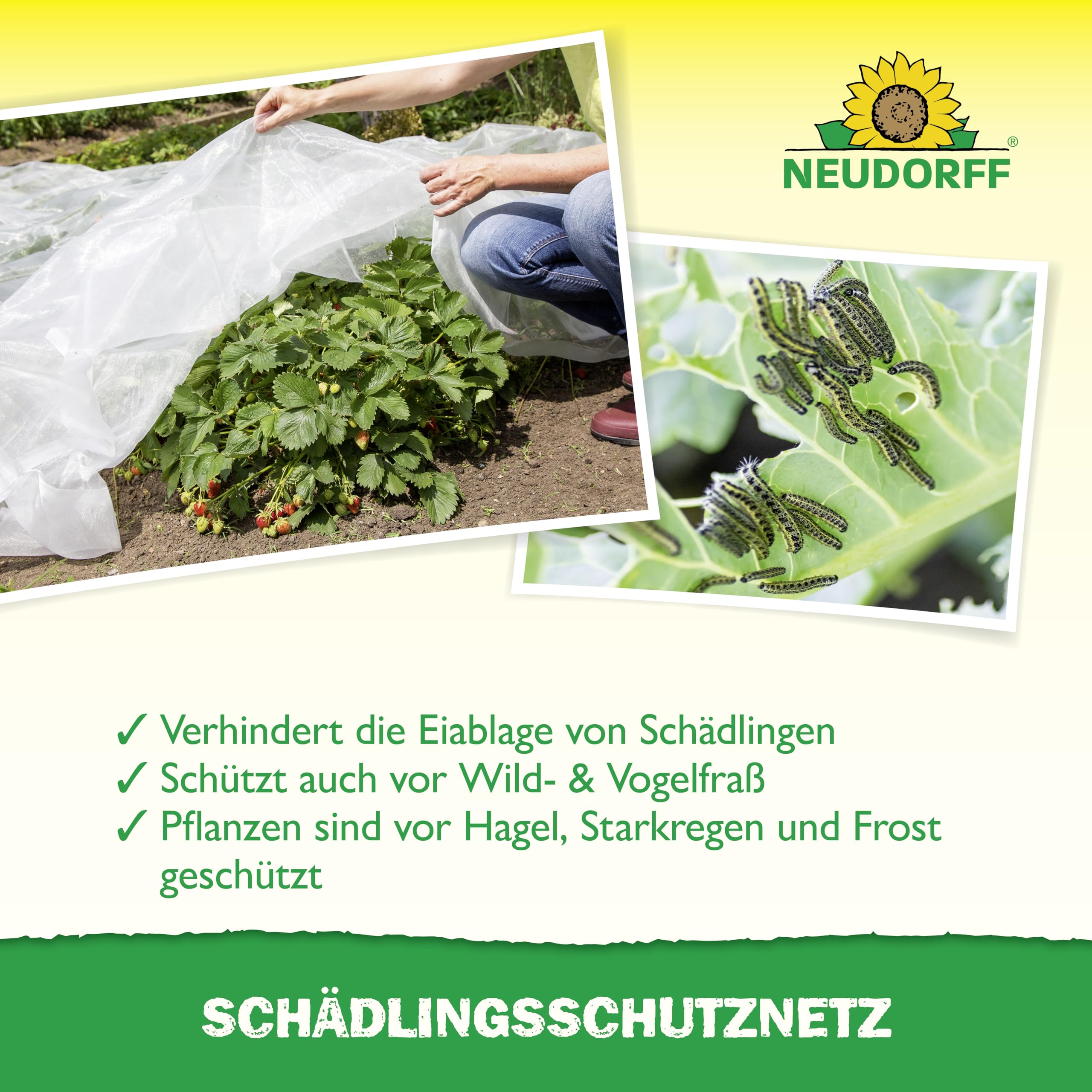 neudorff-sch-dlingsschutznetz-pflanzenschutznetz-2-30-m-x-4-25-m image 4