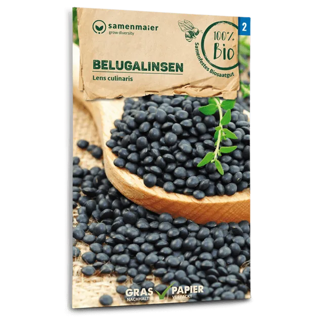 plantura-bio-belugalinsen-saatgut image 1