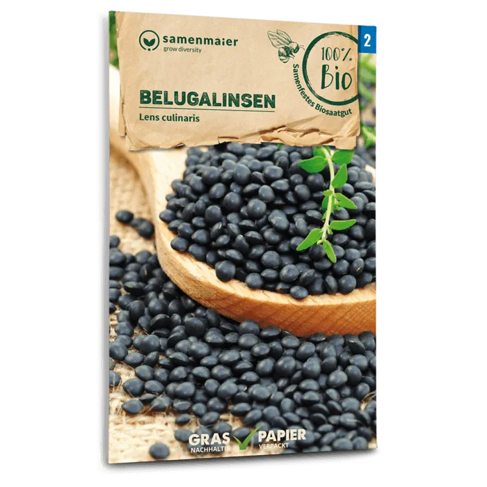 plantura-bio-belugalinsen-saatgut image 1
