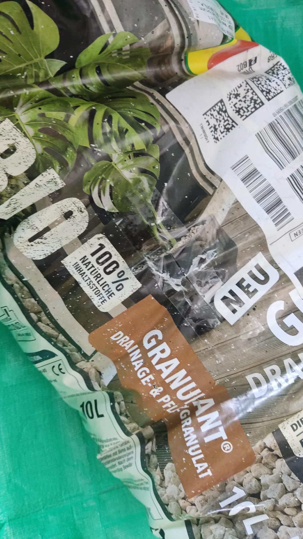 Gute Struktur für Orchideen-Mix