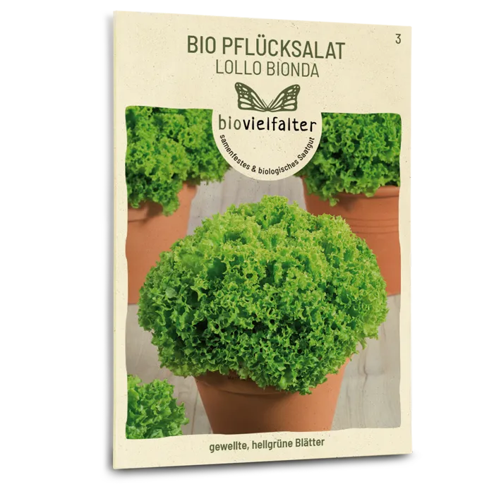 plantura-bio-pfl-cksalat-lollo-bionda-saatgut image 1