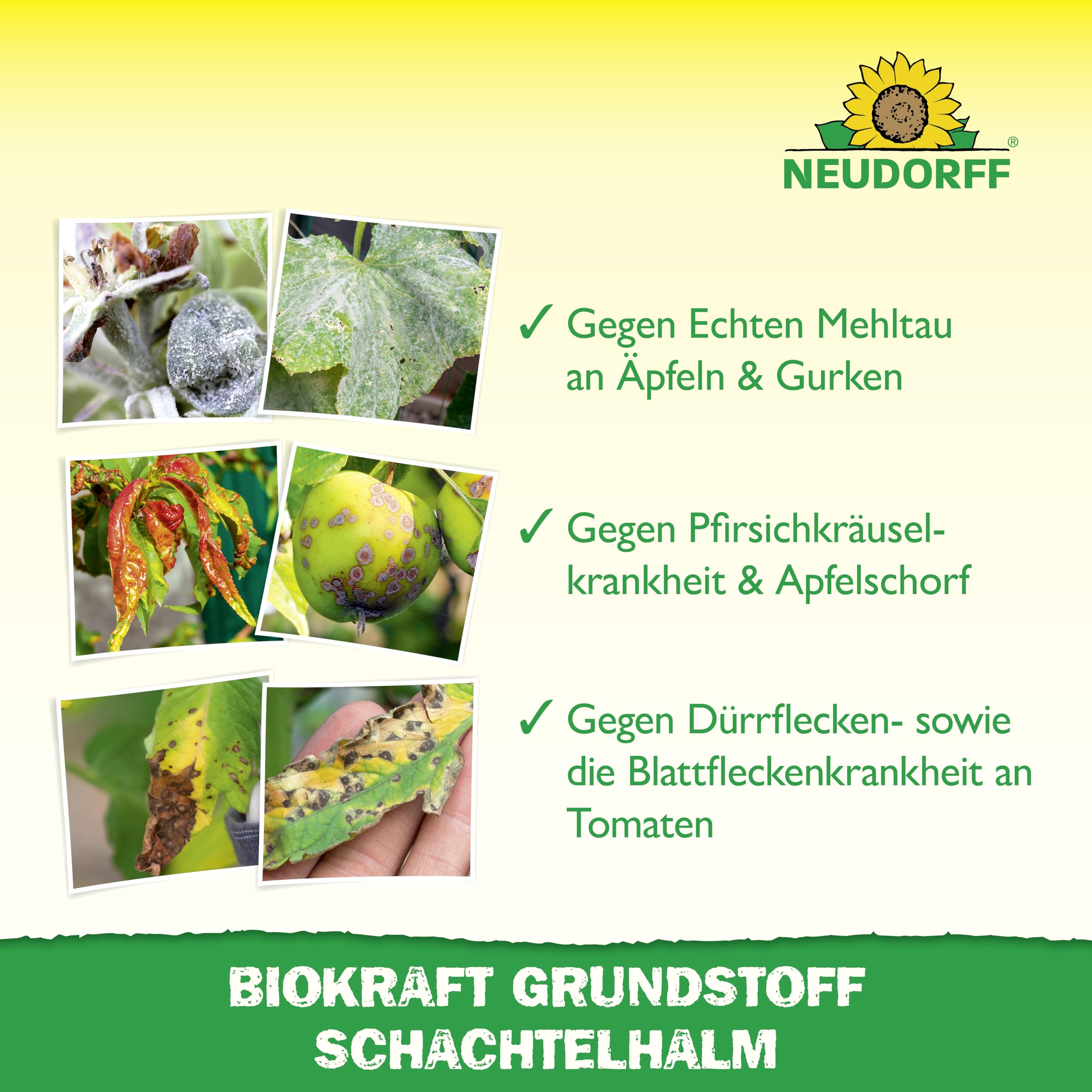 neudorff-biokraft-grundstoff-schachtelhalm-pilzspray-500-ml image 4