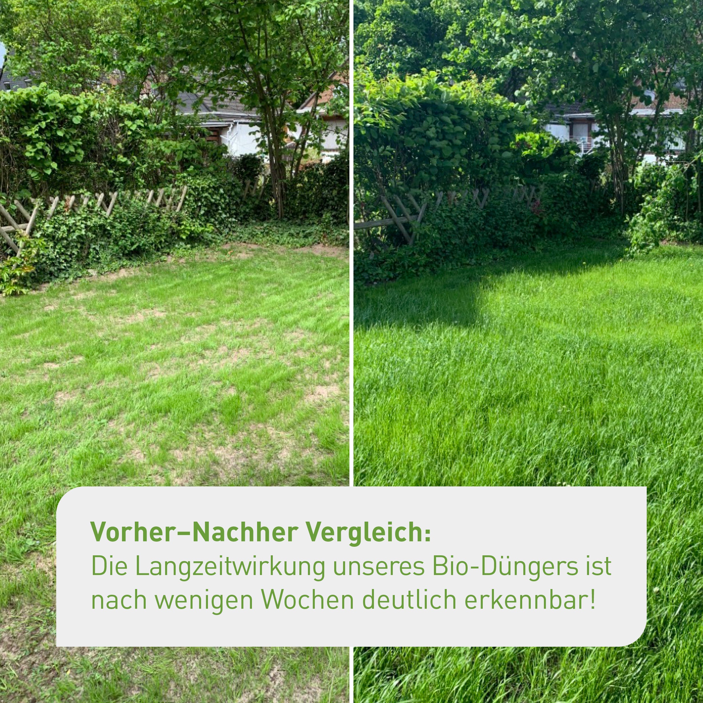 plantura-bio-rasend-nger-10-5-kg-granulat-papierverpackung image 4