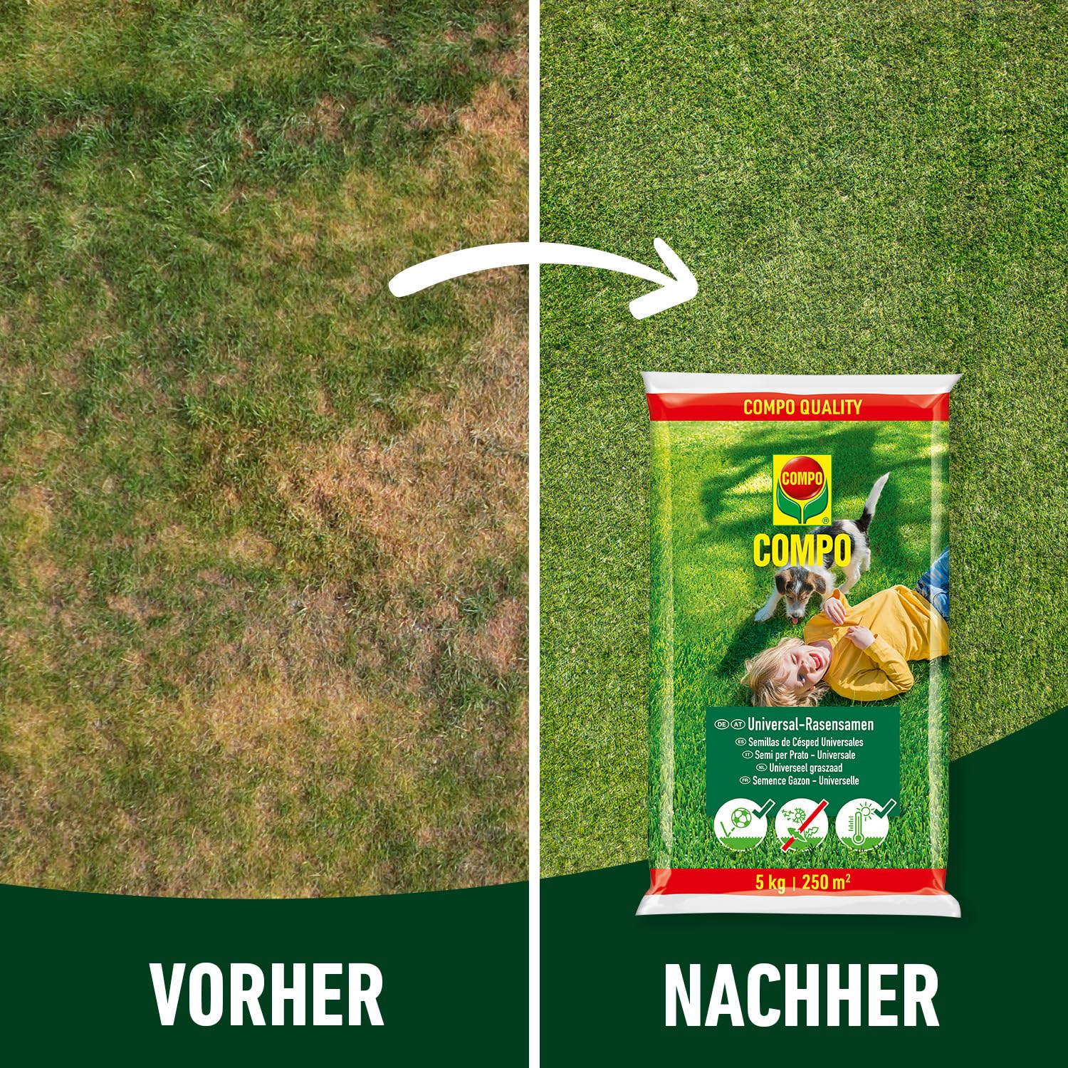 compo-universal-rasensamen-schnellkeimend-5-kg-f-r-250-m-spiel-und-sportrasen image 6