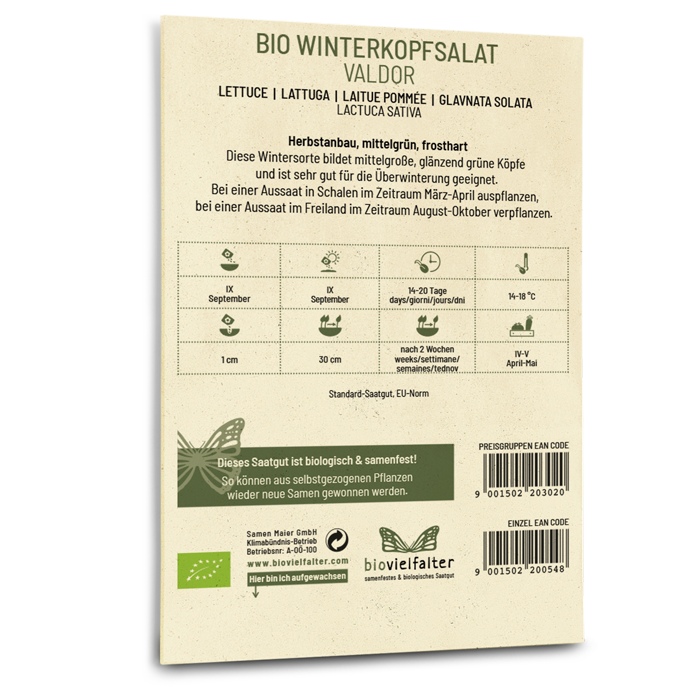 plantura-bio-winterkopfsalat-valdor-bio-saatgut image 3