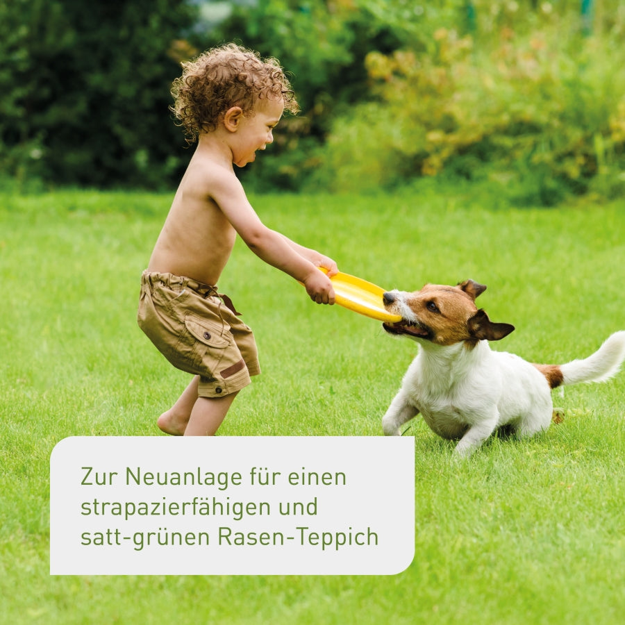 plantura-spiel-sportrasen-2-kg-grassamen image 2