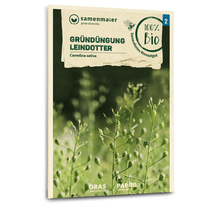 plantura-bio-leindotter-gr-nd-ngung-bio-saatgut image 1