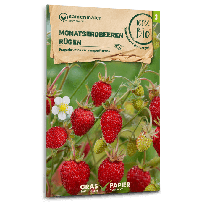 plantura-bio-monatserdbeeren-r-gen-bio-saatgut image 1