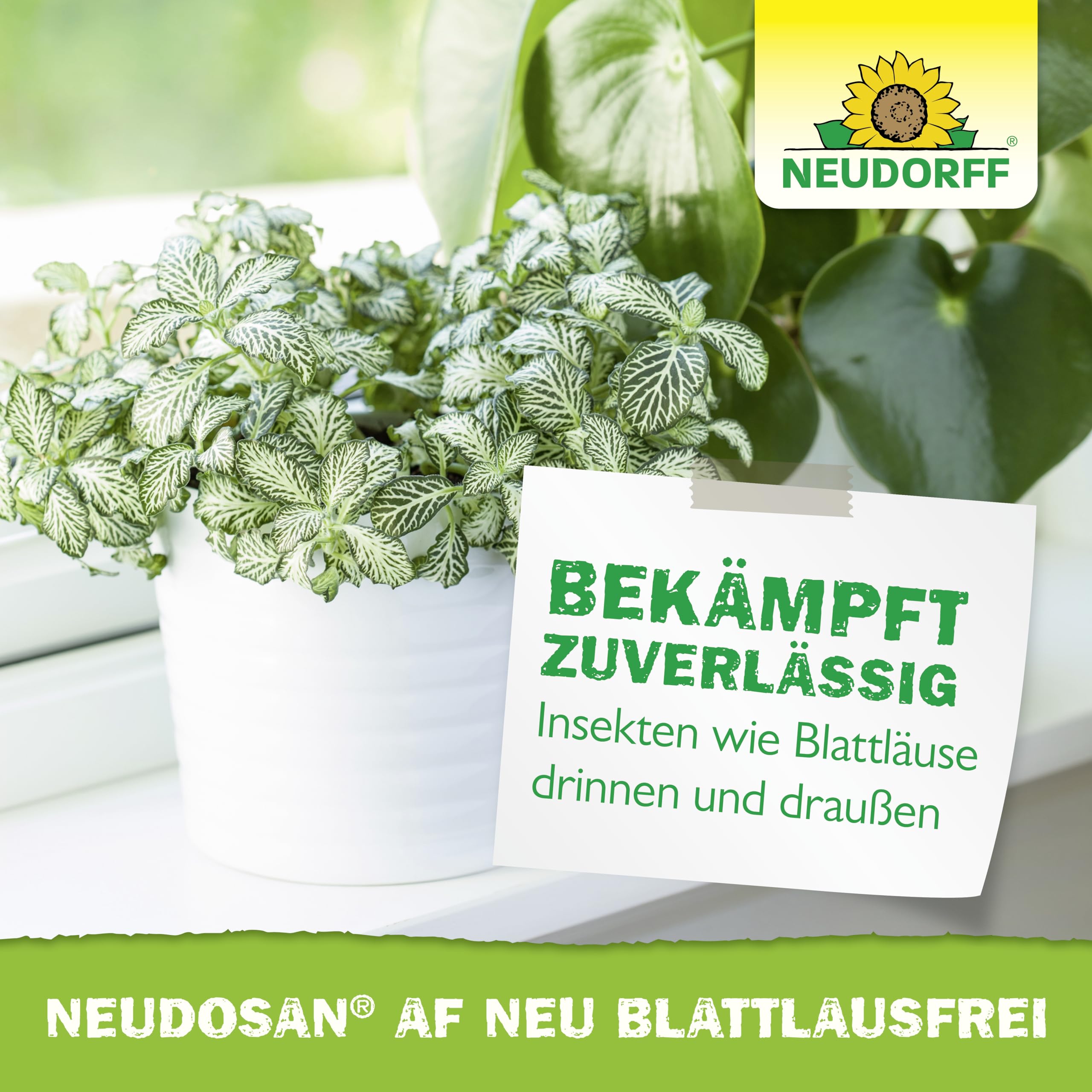 neudorff-neudosan-af-neu-blattlausfrei-sch-dlingsbek-mpfung-spray-500-ml image 6