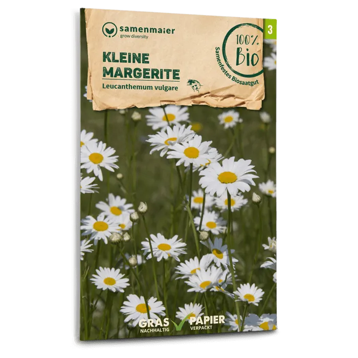 plantura-bio-kleine-margerite-wildblume-bio-saatgut image 1