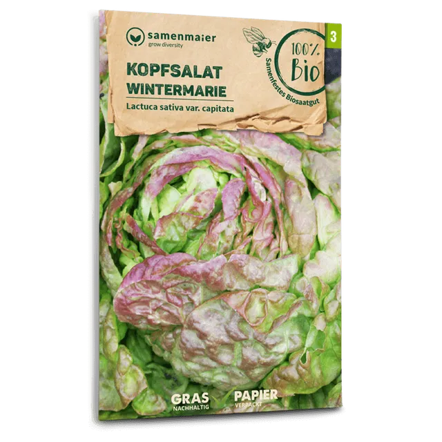 plantura-bio-kopfsalat-wintermarie-bio-saatgut-berwinternd image 1