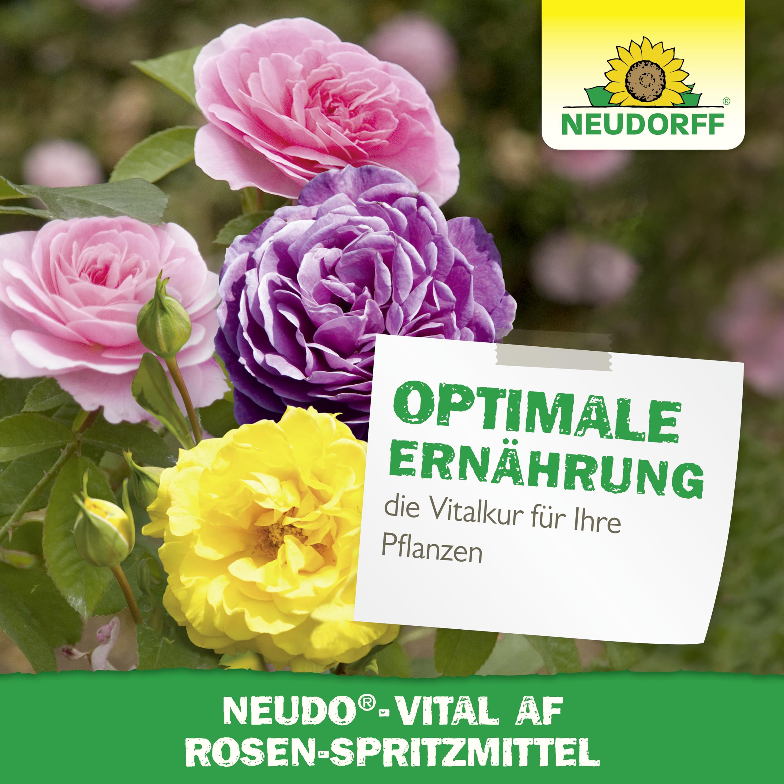 neudorff-neudo-vital-af-rosen-spritzmittel-500-ml-anwendungsfertig image 6