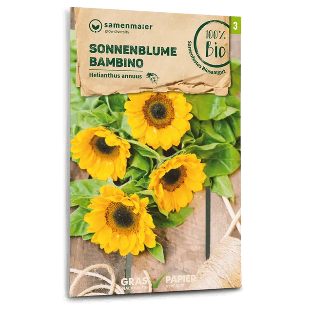 plantura-bio-sonnenblume-bambino-bio-saatgut image 1