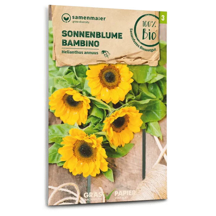 plantura-bio-sonnenblume-bambino-bio-saatgut image 1