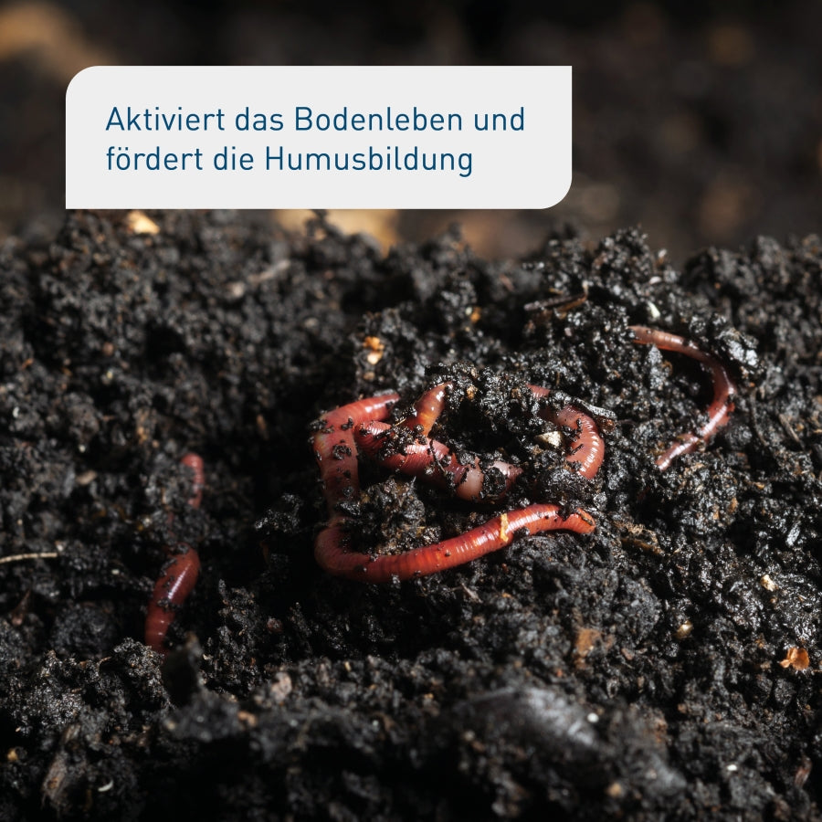 plantura-bio-bodenaktivator-10-5-kg-sack-bodend-nger image 4