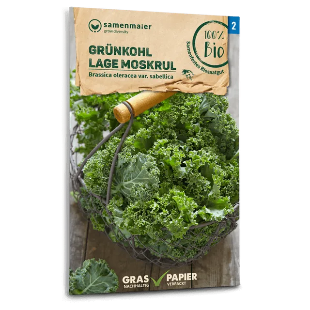 plantura-bio-gr-nkohl-lage-moskrul-bio-saatgut image 1