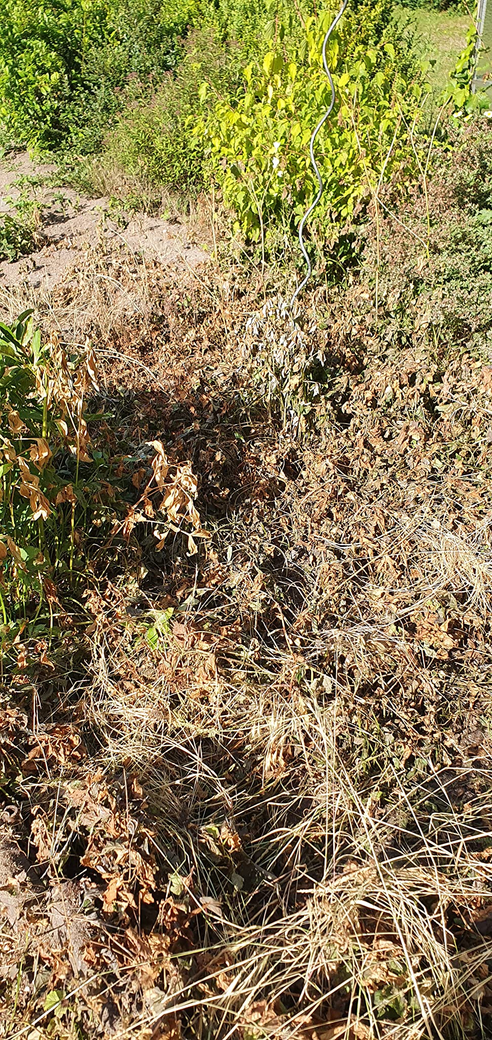 Endlich Ruhe im Garten