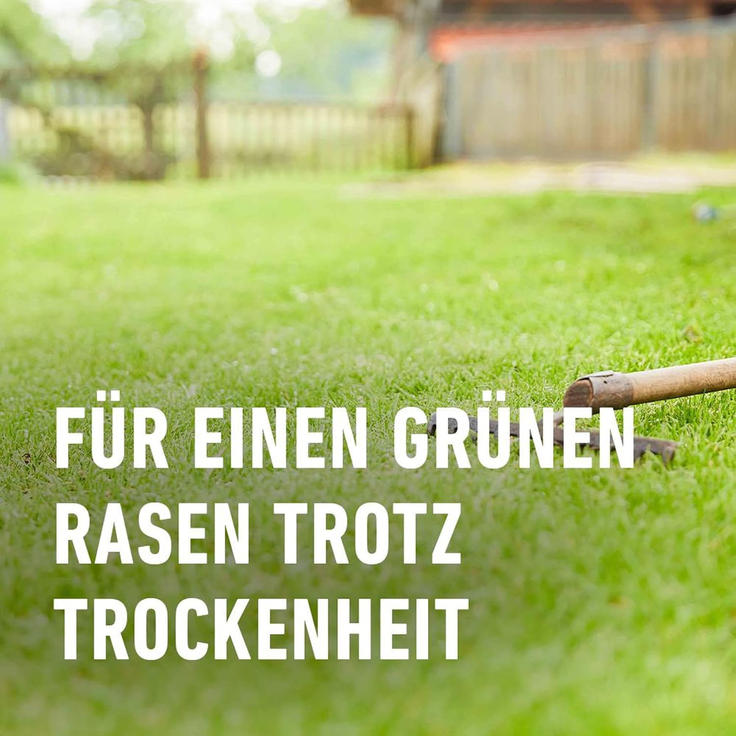 compo-saat-trocken-rasen-2-kg-f-r-80-m-rsm-2-2-2 image 6