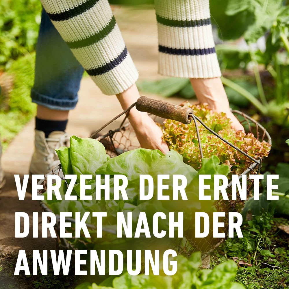 compo-schneckenkorn-streugranulat-1-1-kg-regenfest-gegen-nacktschnecken image 7