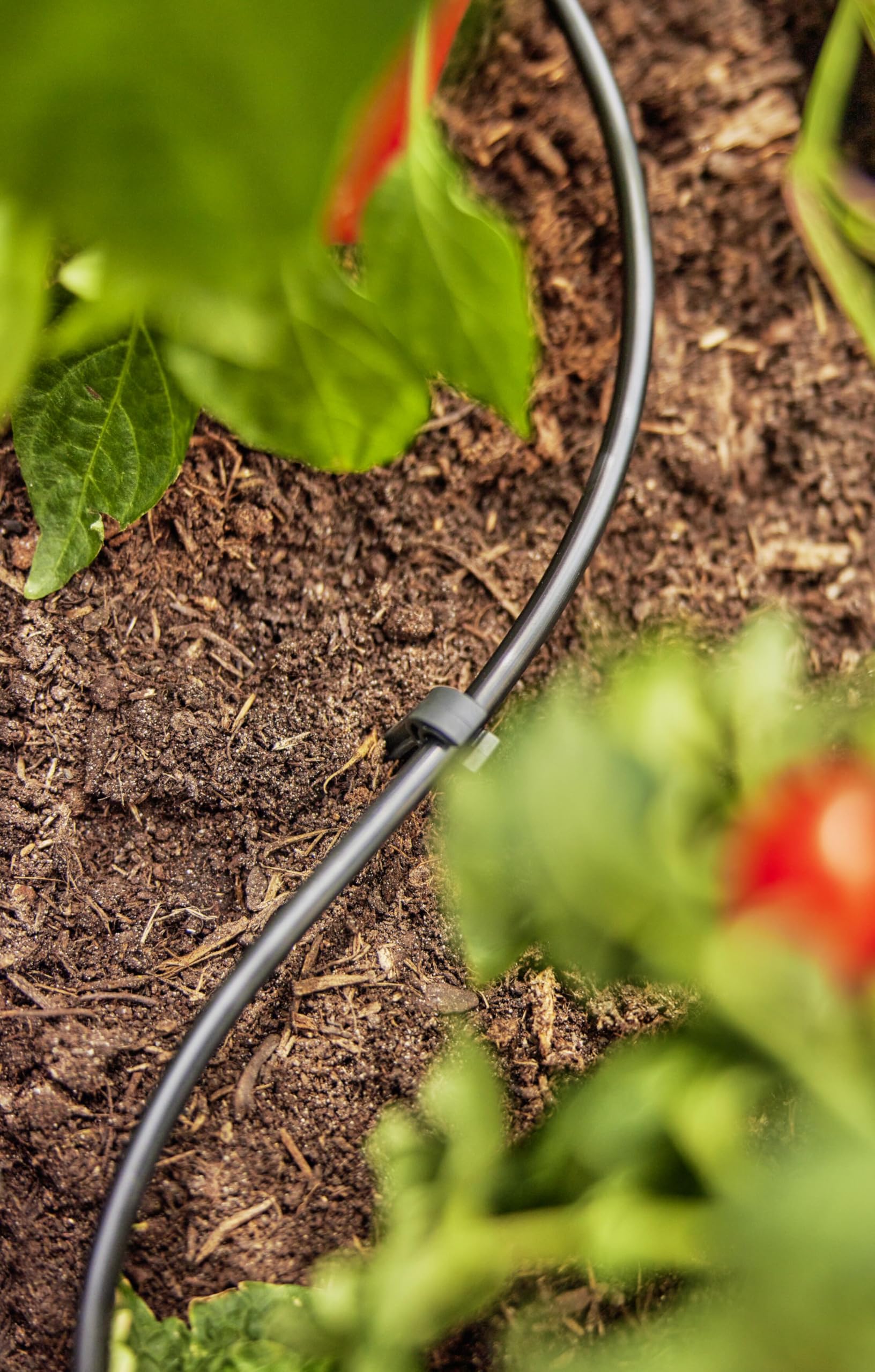 gardena-micro-drip-system-verteilerrohr-1348-20-4-6-mm-50-m image 4