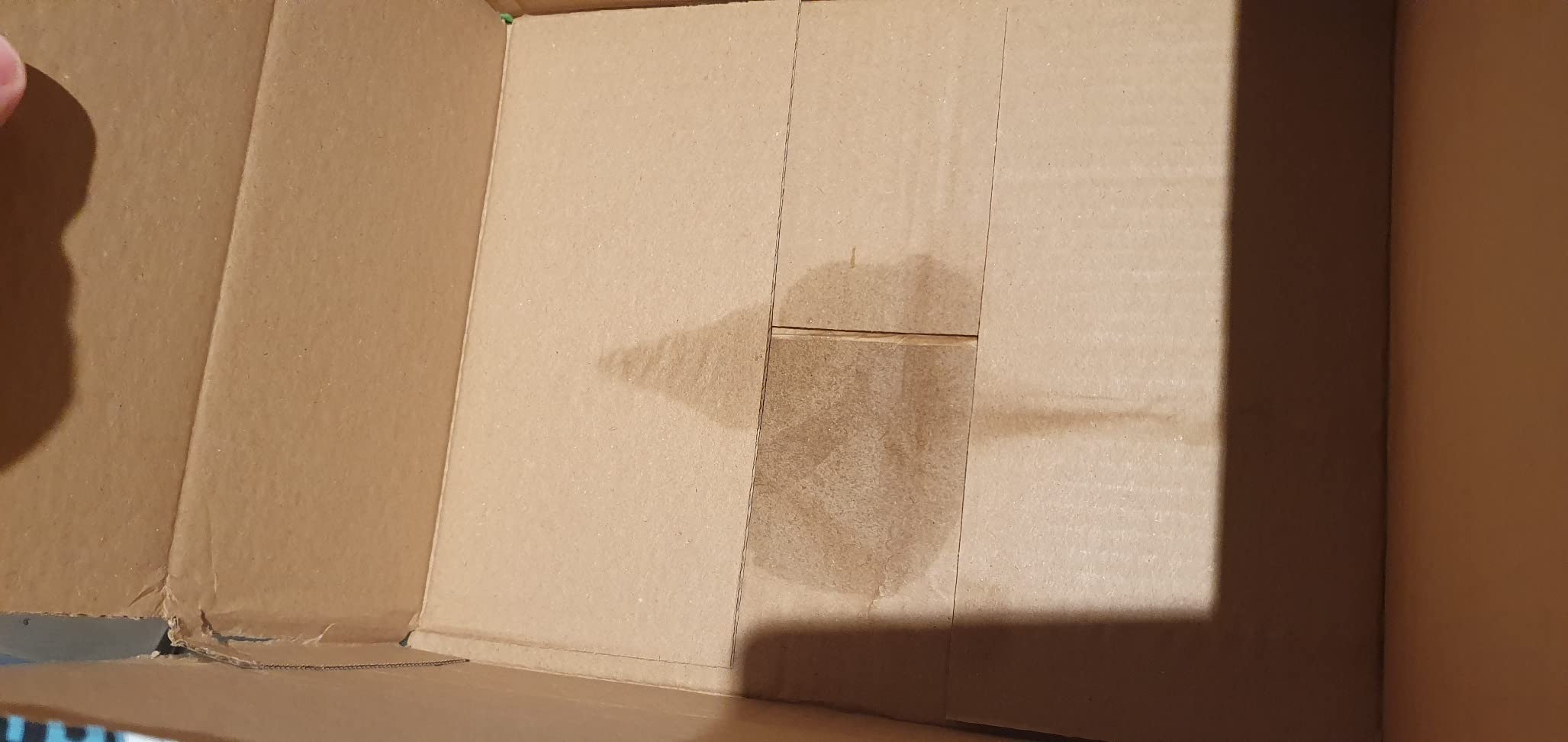 Endlich schöne Gurken