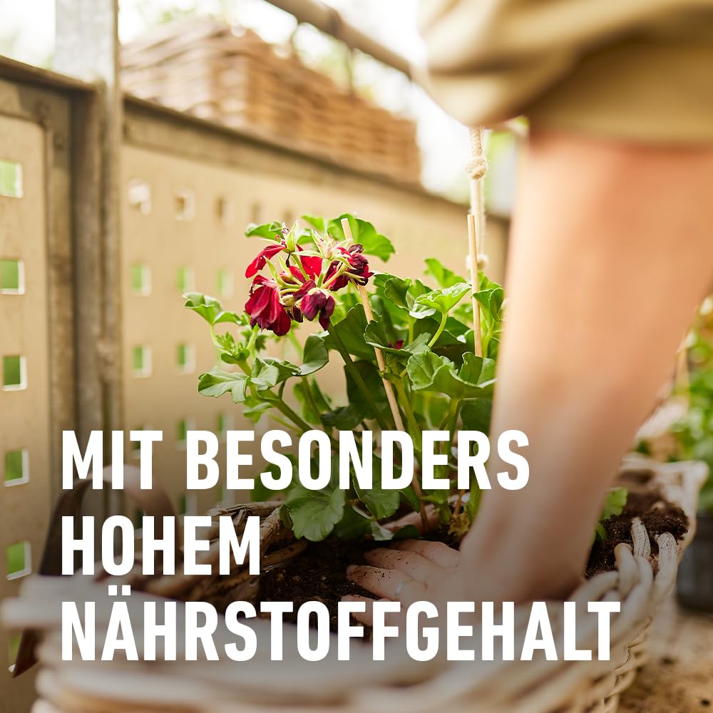 compo-geraniend-nger-spezial-fl-ssigd-nger-mit-eisen-1-3-l image 5
