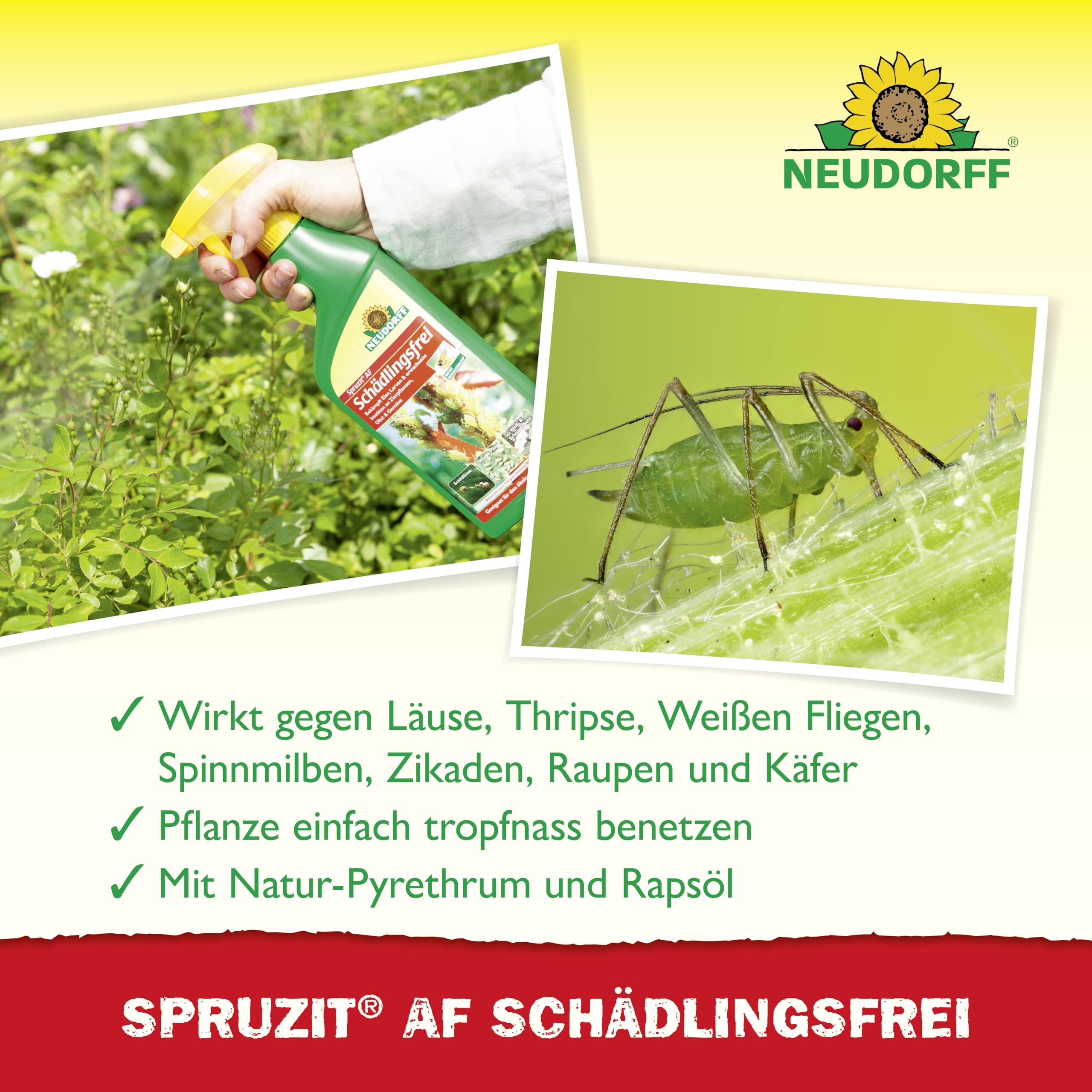 neudorff-spruzit-af-sch-dlingsfrei-500-ml-anwendungsfertiges-spray image 4