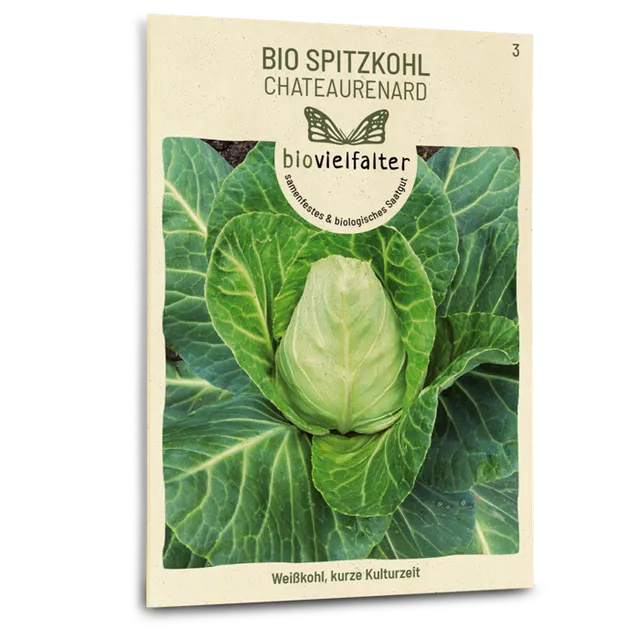 plantura-bio-spitzkohl-chateaurenard-bio-saatgut image 1