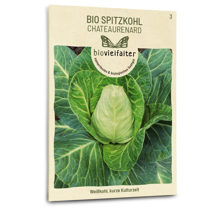 plantura-bio-spitzkohl-chateaurenard-bio-saatgut image 1