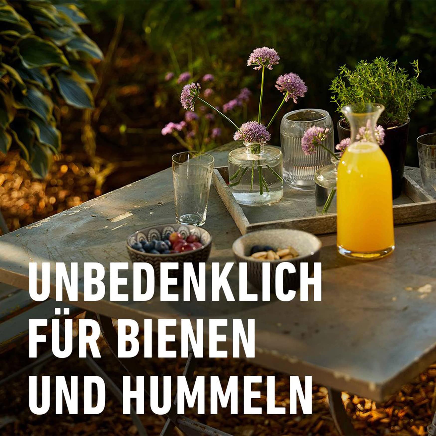 compo-wespen-falle-wiederbef-llbar-1-st-ck-22434 image 5