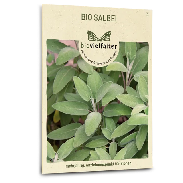 plantura-bio-salbei-echter-salbei-bio-saatgut-apothekersalbei image 1