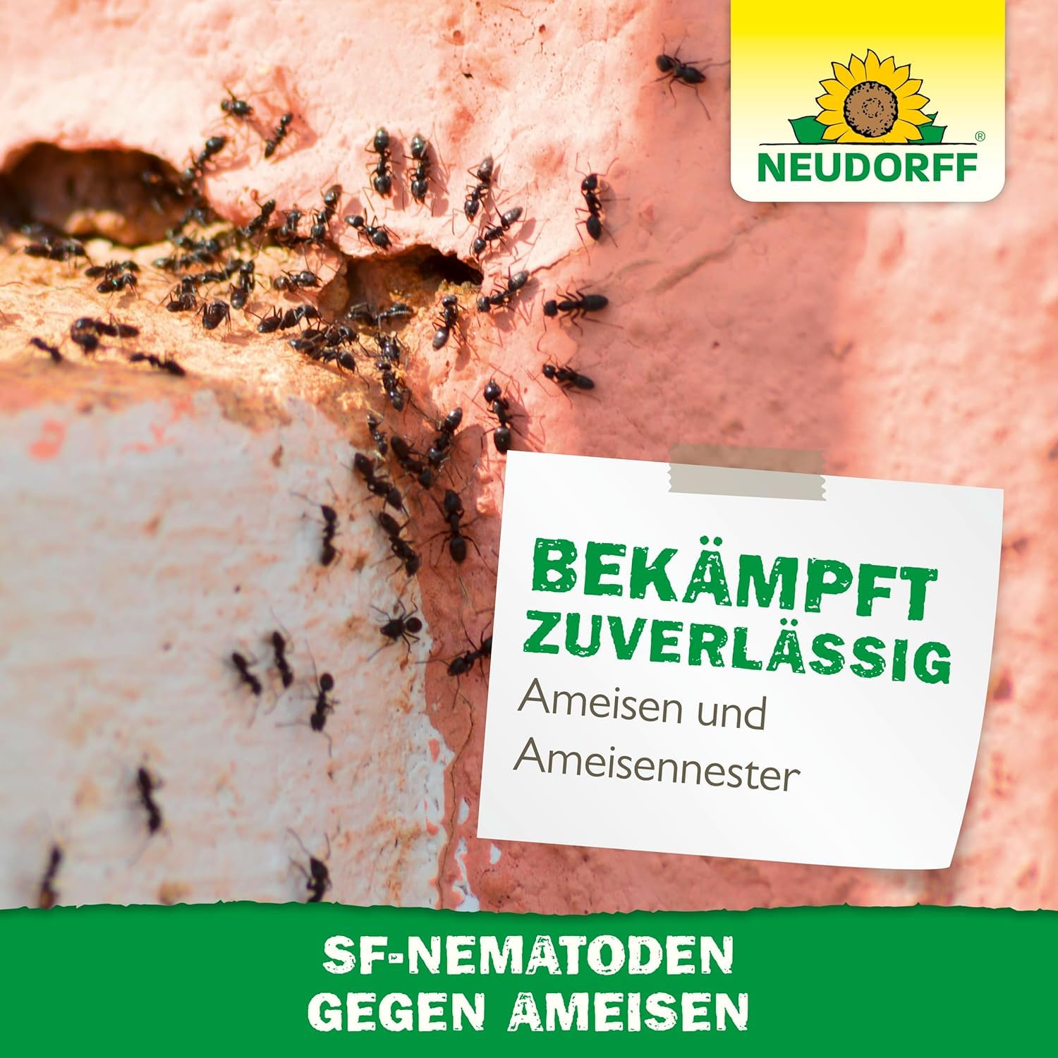 neudorff-n-tzlinge-gegen-ameisen-sf-nematoden-10-mio-f-r-5-nester image 8