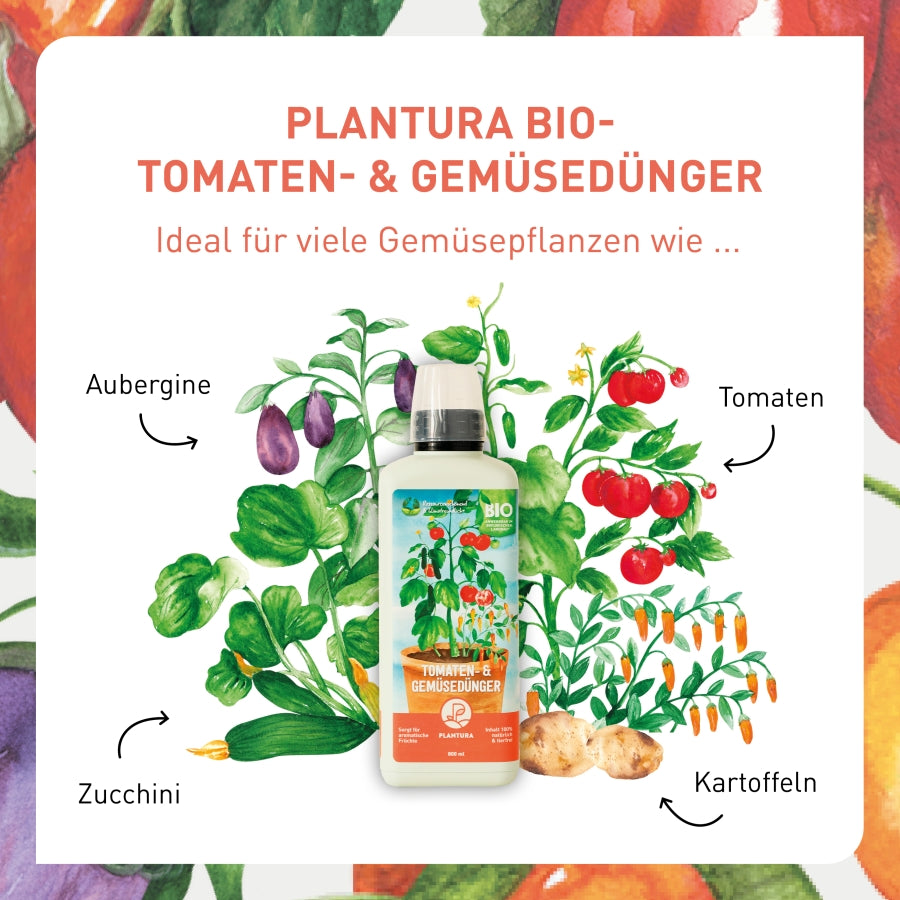 plantura-bio-tomaten-gem-sed-nger-800-ml-fl-ssigd-nger image 3