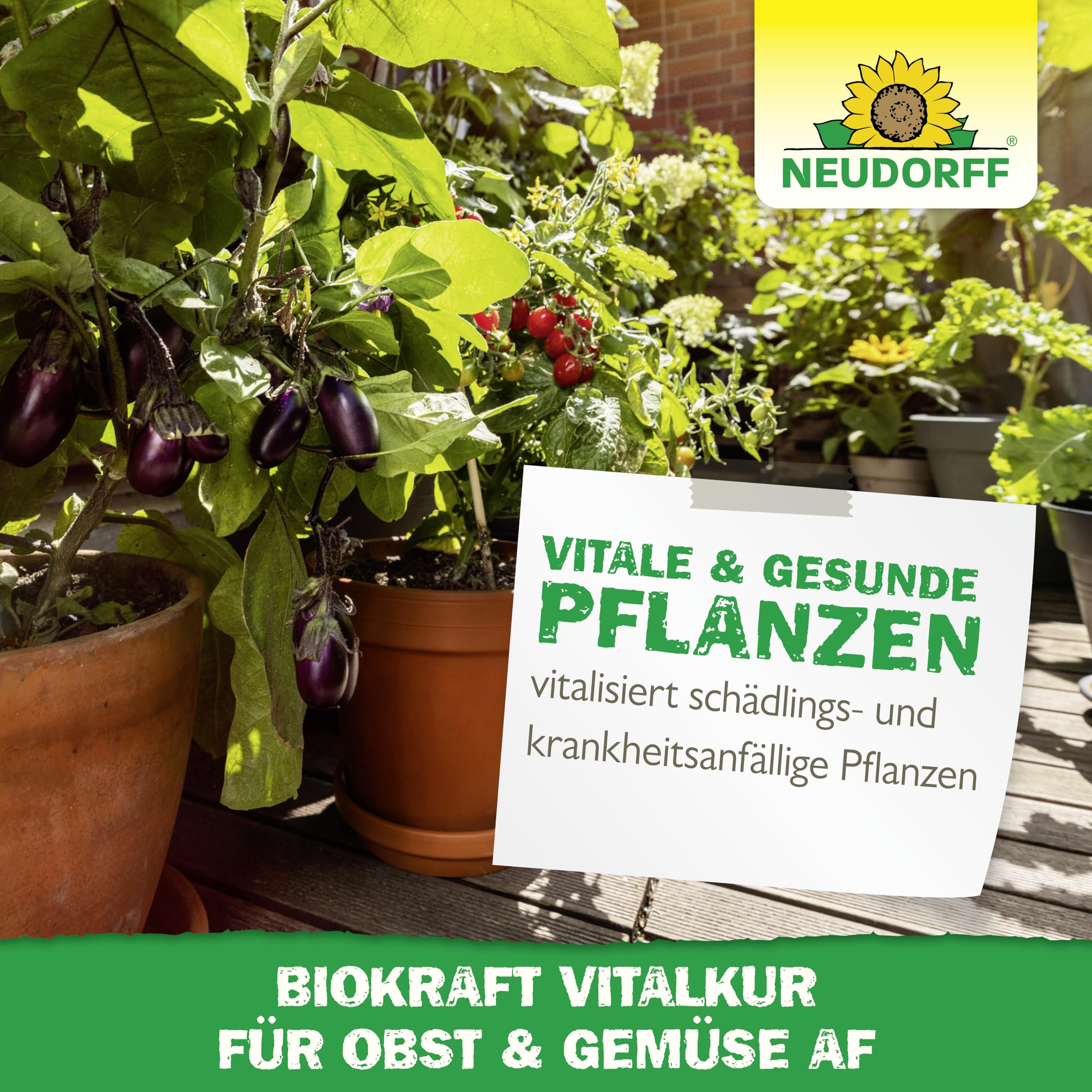 neudorff-biokraft-vitalkur-f-r-obst-gem-se-af-spray-500-ml image 6