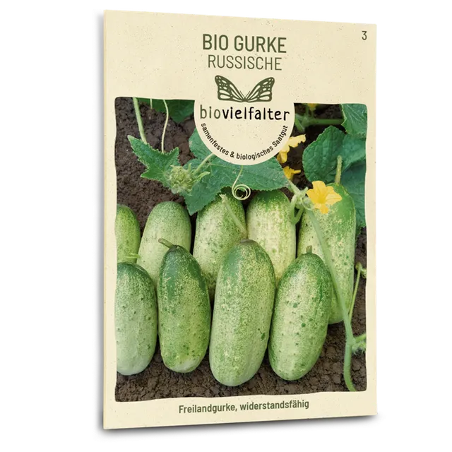 plantura-bio-gurke-russische-bio-saatgut image 1