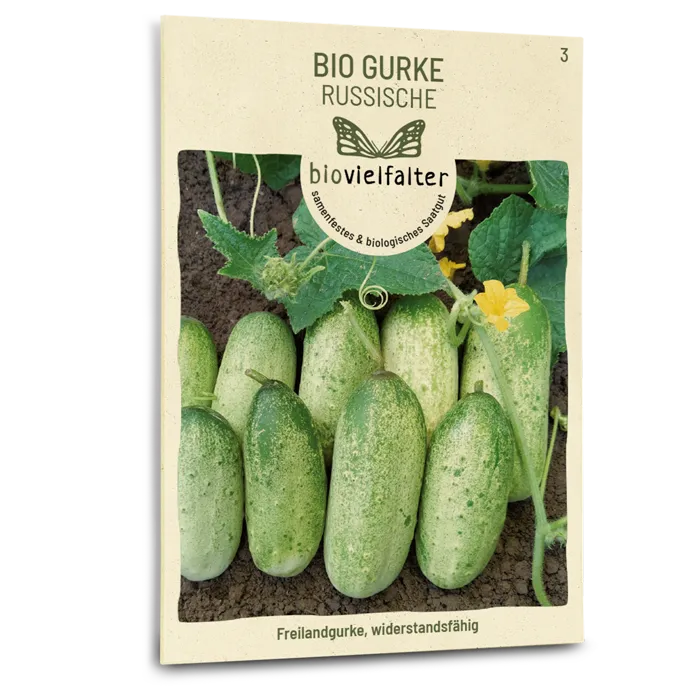 plantura-bio-gurke-russische-bio-saatgut image 1