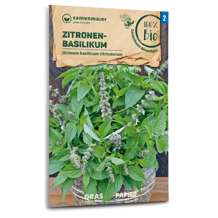 plantura-bio-zitronenbasilikum-bio-saatgut-kr-uter image 1