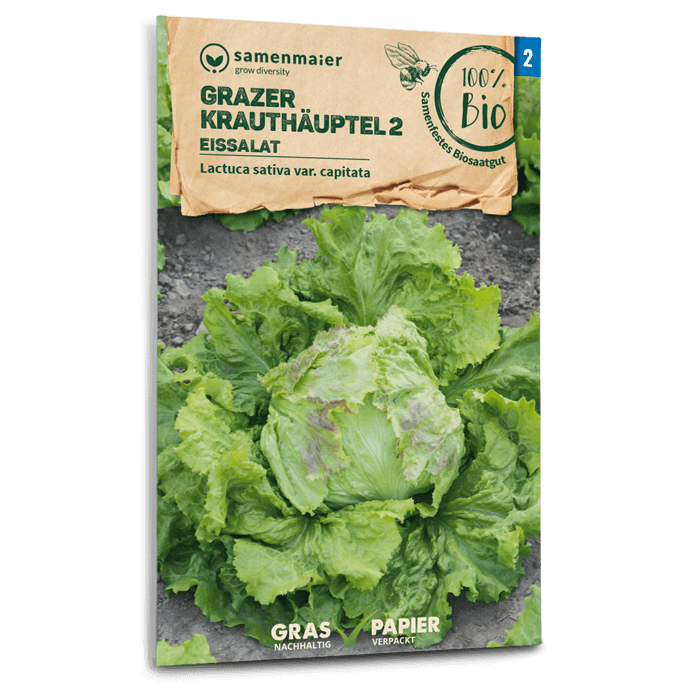 plantura-bio-eissalat-grazer-krauth-uptel-2-bio-saatgut image 1