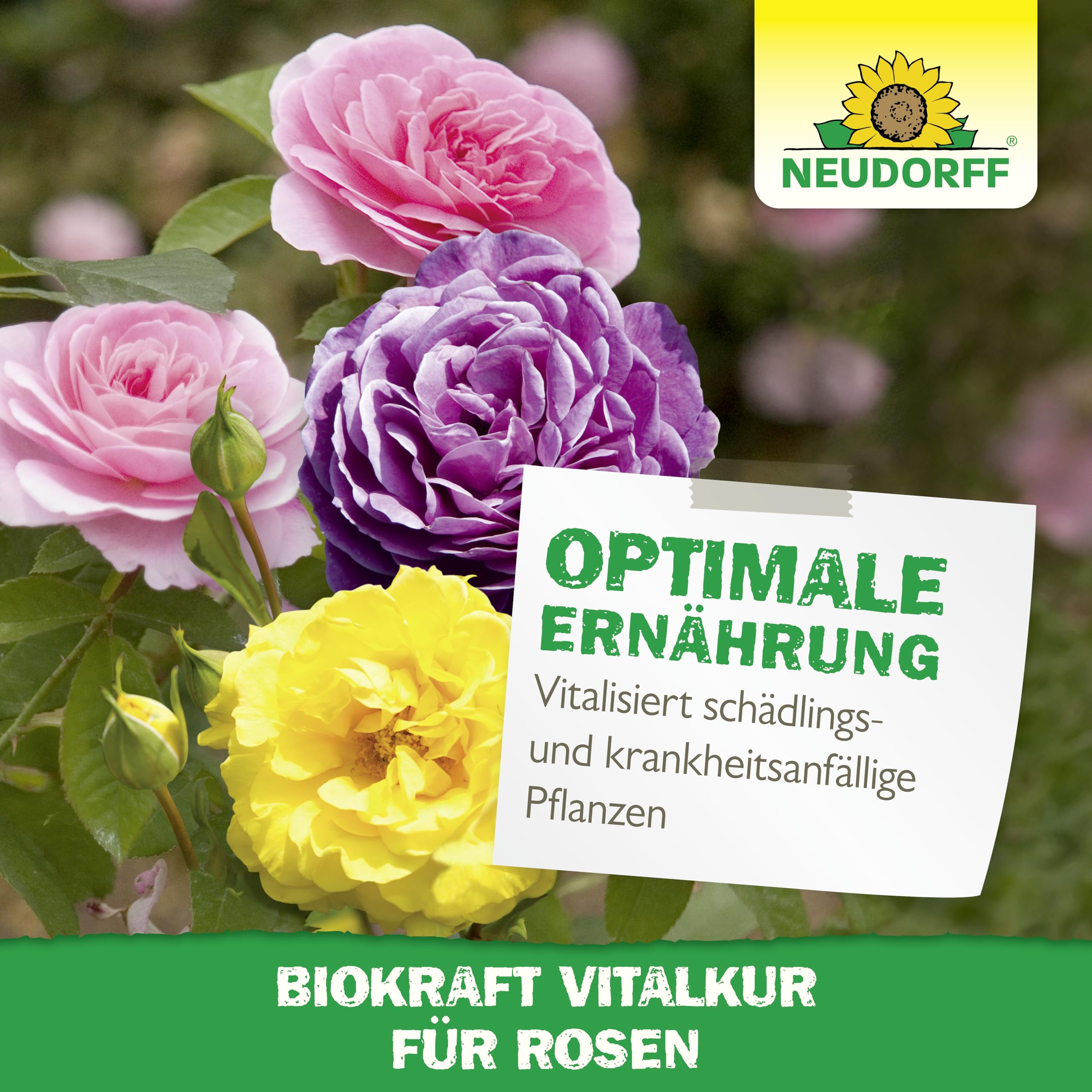 neudorff-biokraft-vitalkur-f-r-rosen-konzentrat-300-ml-pflanzenst-rkung-f-r-rose image 6