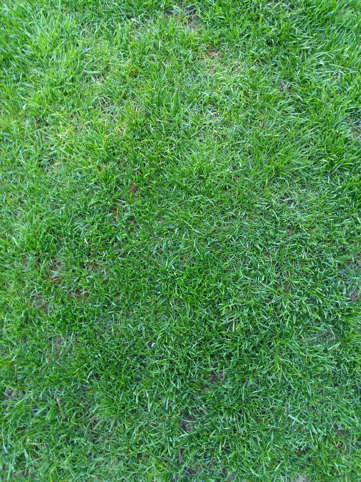 Wirkt lange und gleichmäßig
