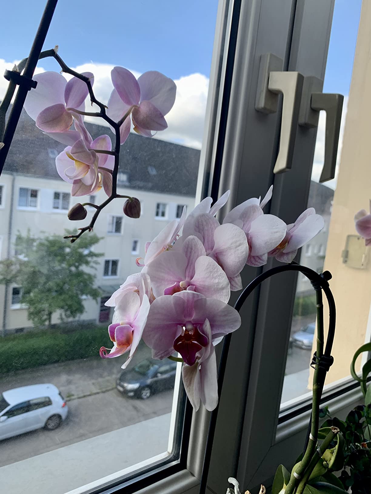 Bei mir schwach